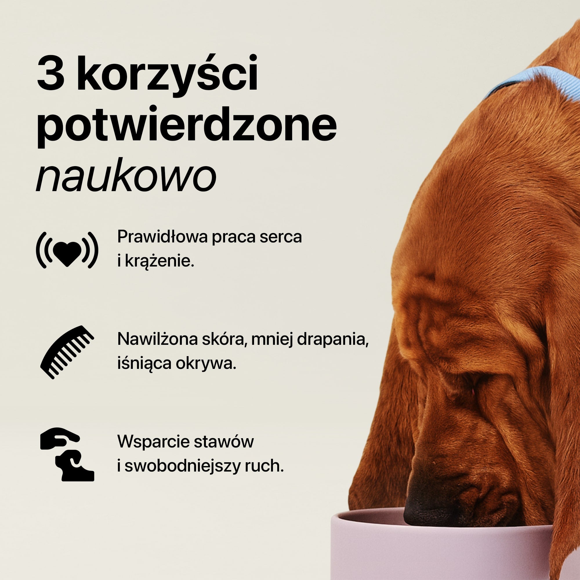 Kropla – Olej Omega-3 dla Psów
